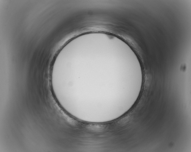 X0000110891286200907161517