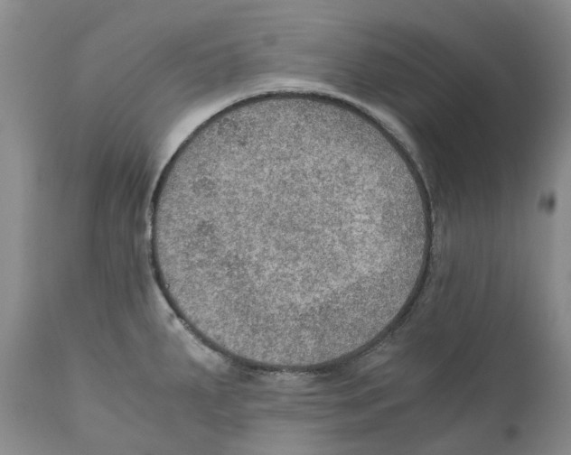 X0000110891287200907161517