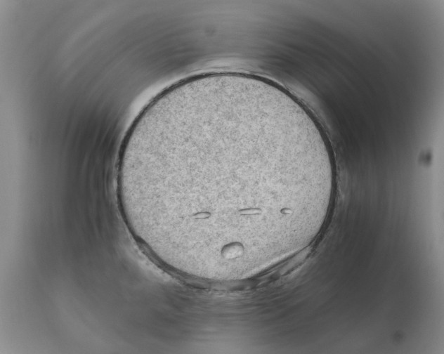 X0000110891288200907161517