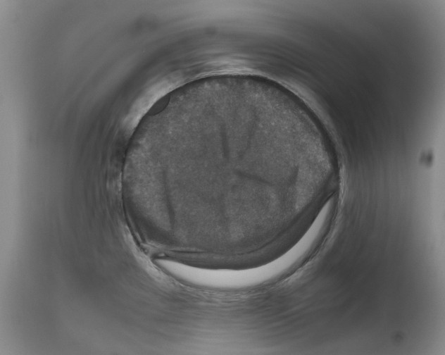 X0000110891289200907161517