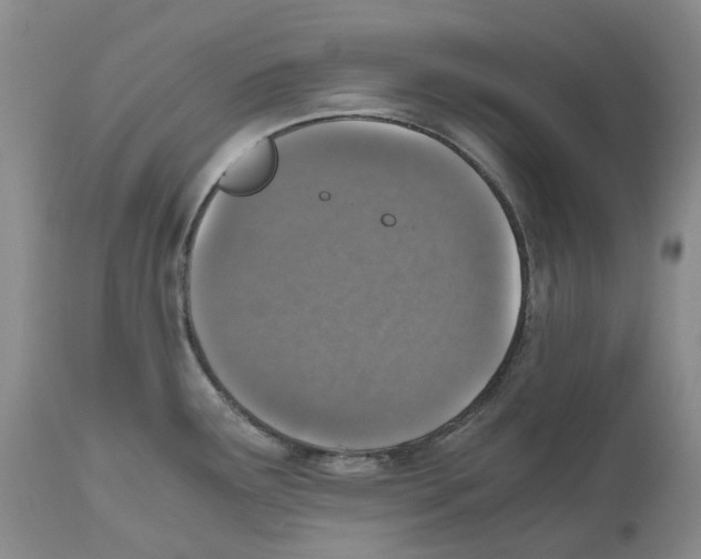 X0000110891291200907161517