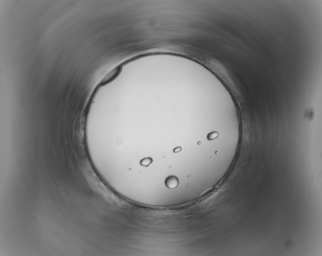 X0000110891292200907161517