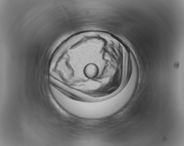 X0000110891293200907161517