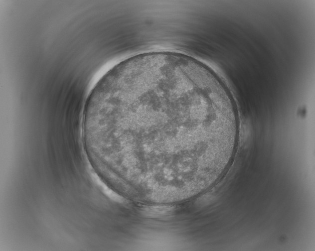 X0000110891294200907161517