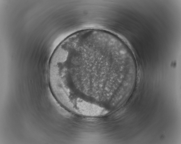 X0000110891295200907161517