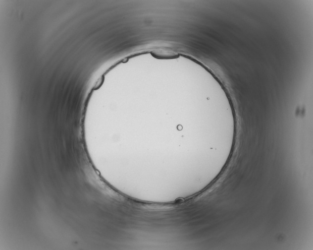 X0000110891296200907161517