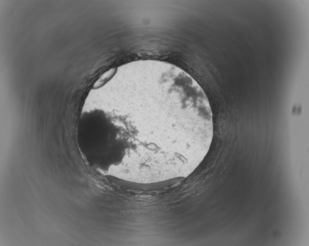 X0000110891297200907161516