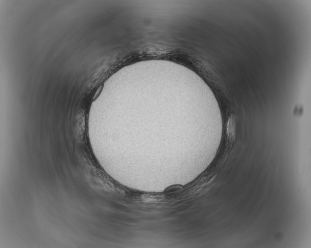 X0000110891299200907161516