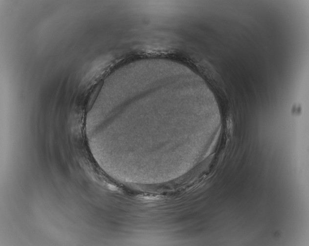 X0000110891300200907161516