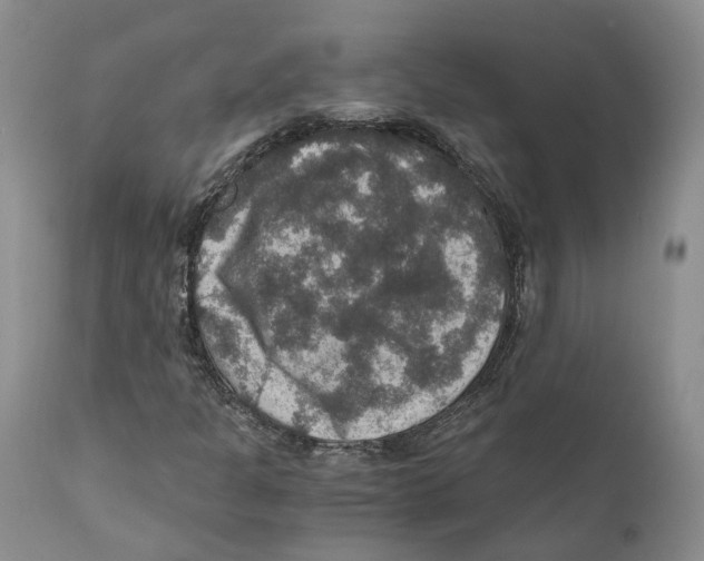 X0000110891301200907161516