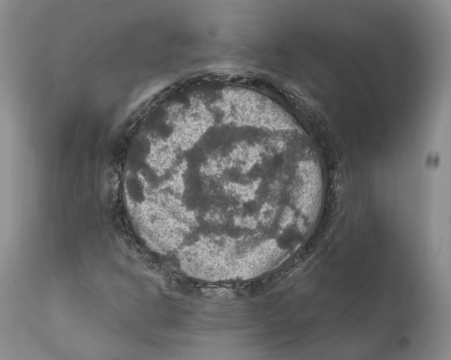 X0000110891302200907161516