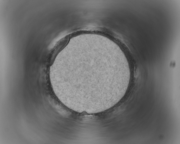 X0000110891304200907161516