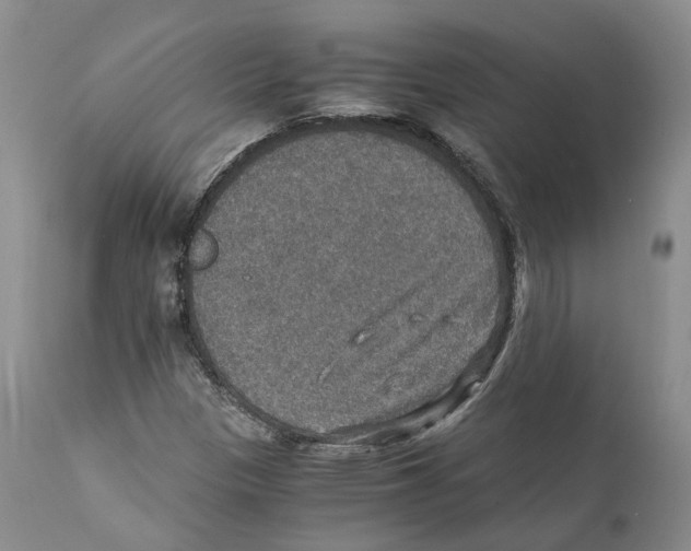 X0000110891305200907161516