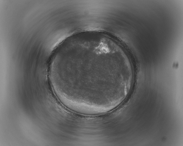 X0000110891306200907161516