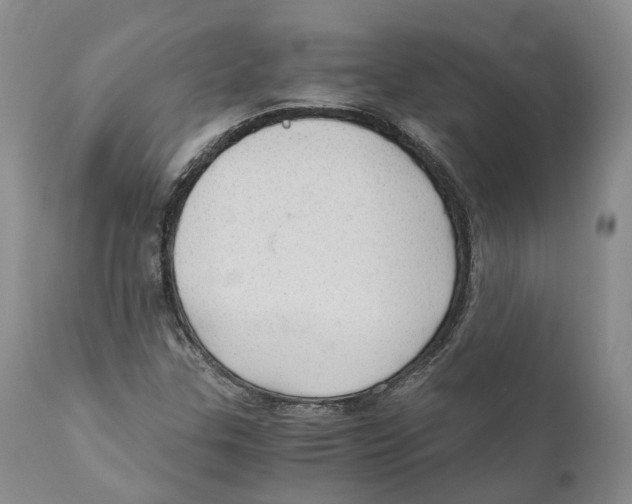 X0000110891307200907161516