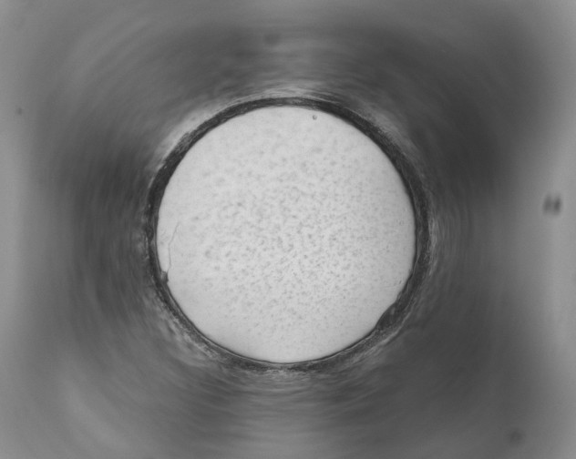 X0000110891308200907161516