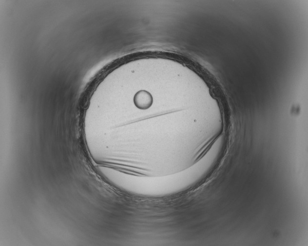 X0000110891310200907161516