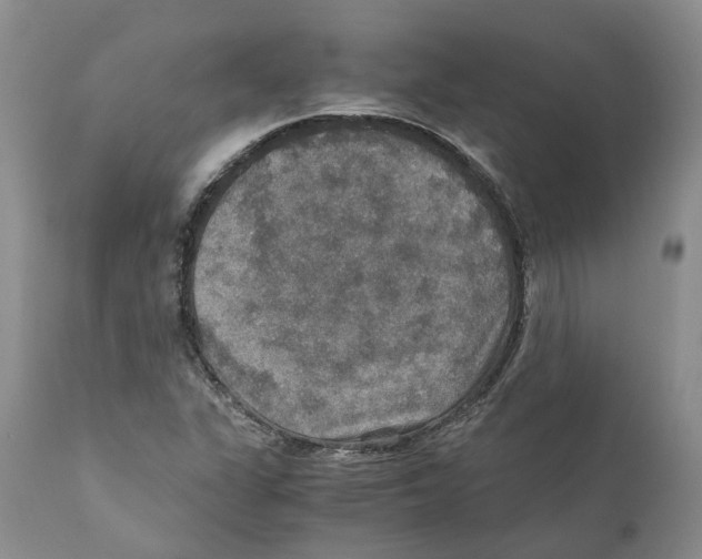 X0000110891311200907161516