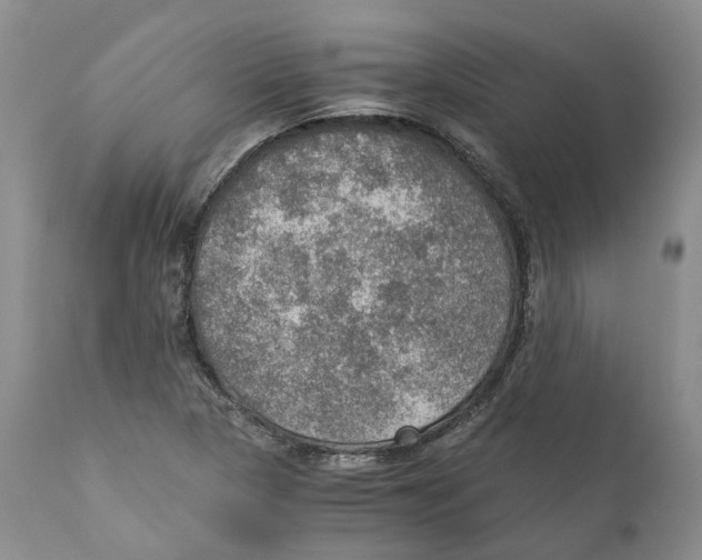 X0000110891313200907161516