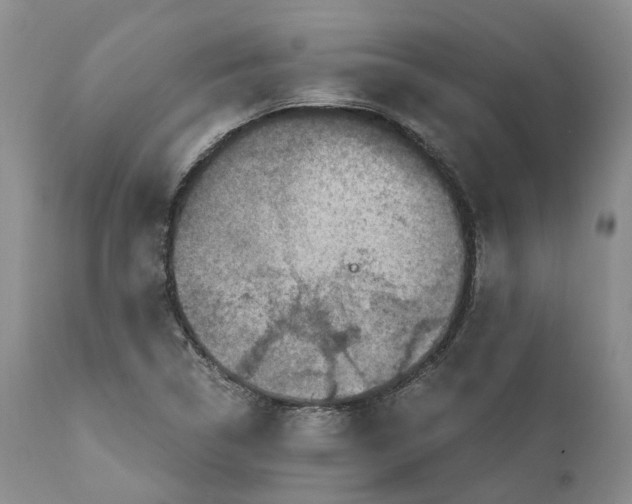 X0000110891314200907161516