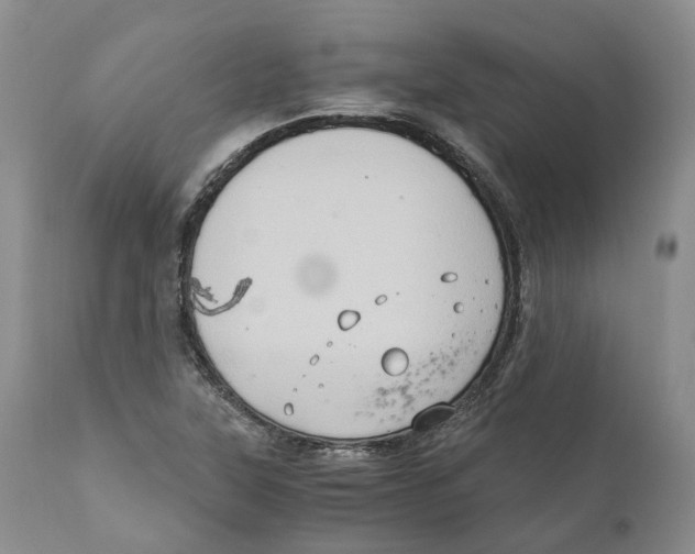 X0000110891315200907161516