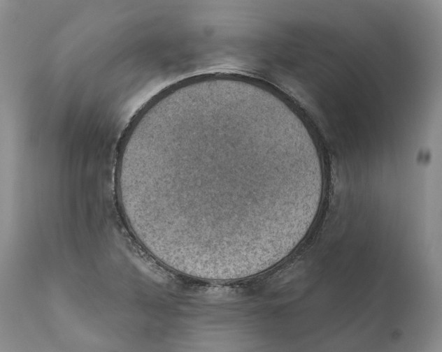 X0000110891316200907161516