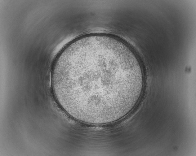 X0000110891317200907161516