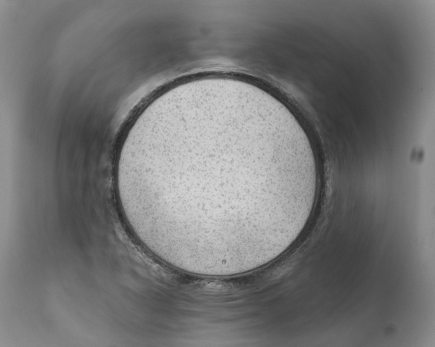 X0000110891318200907161516