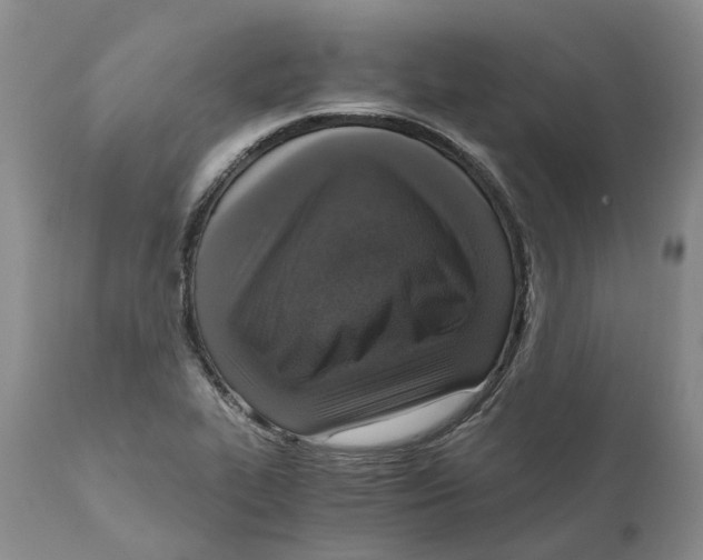 X0000110891319200907161516