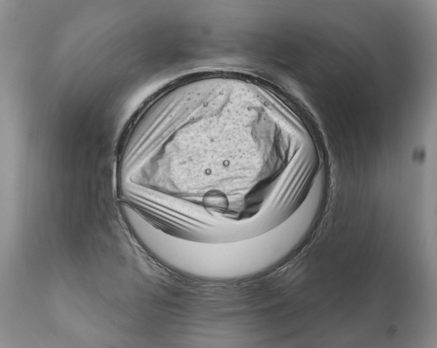 X0000110891320200907161516