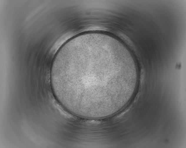 X0000110891321200907161516