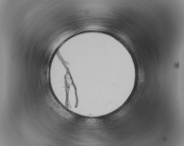 X0000110891322200907161516