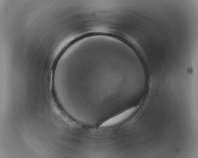 X0000110891323200907161516