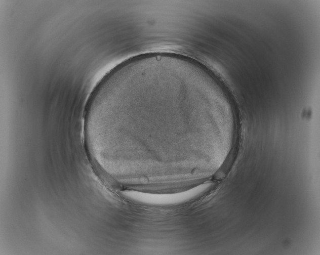 X0000110891324200907161516