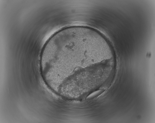 X0000110891325200907161516