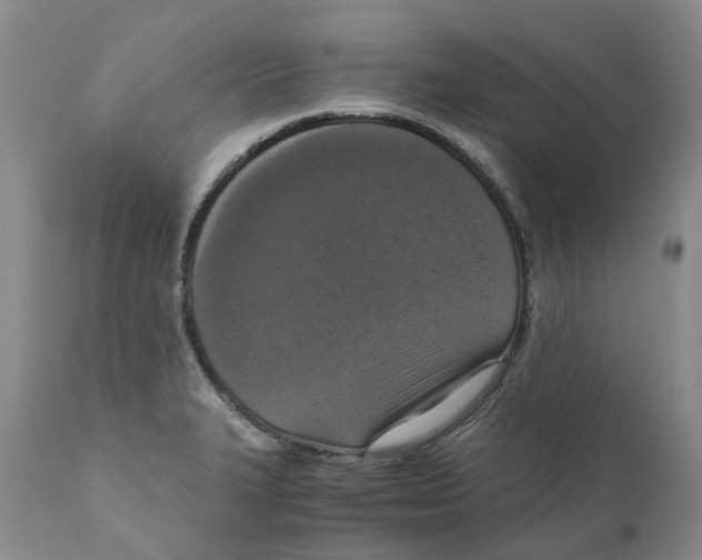 X0000110891327200907161517