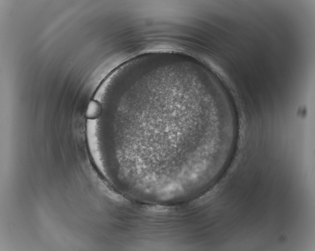 X0000110891329200907161517