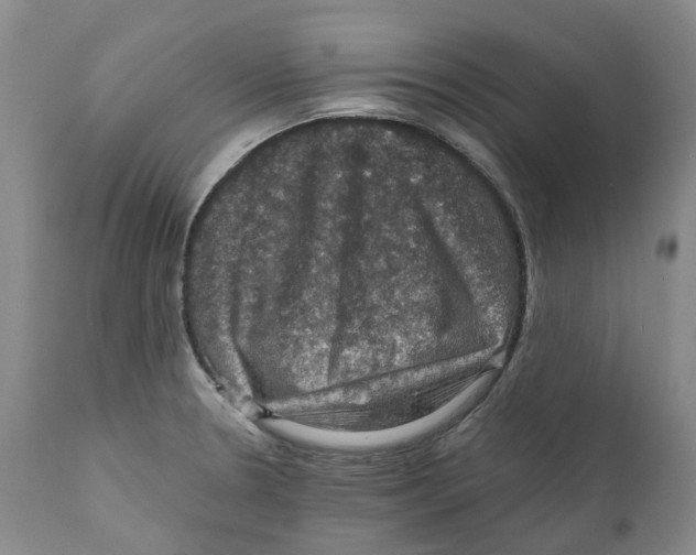 X0000110891330200907161517