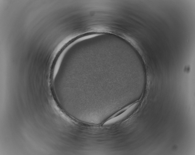 X0000110891331200907161517