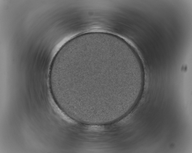 X0000110891333200907161517