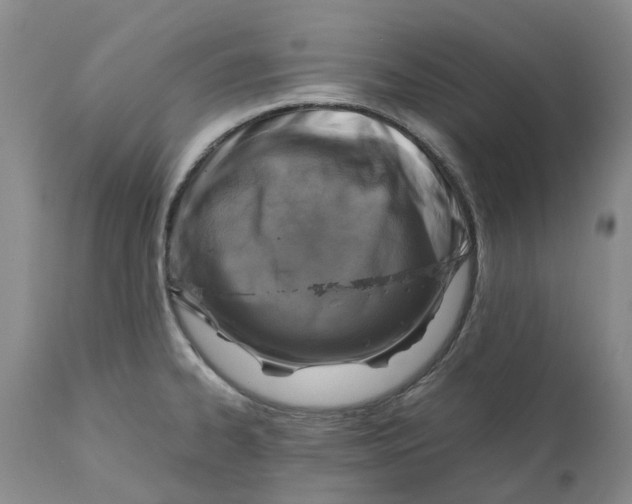 X0000110891334200907161517