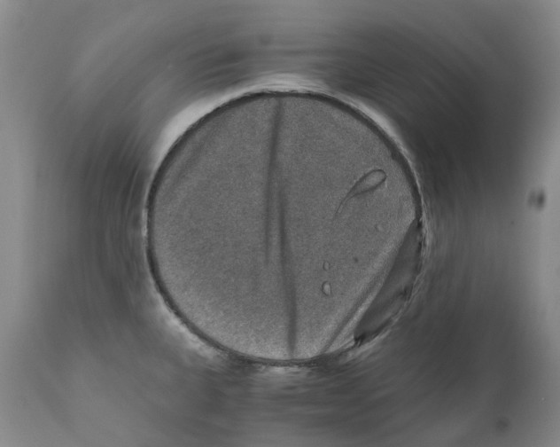 X0000110891335200907161517