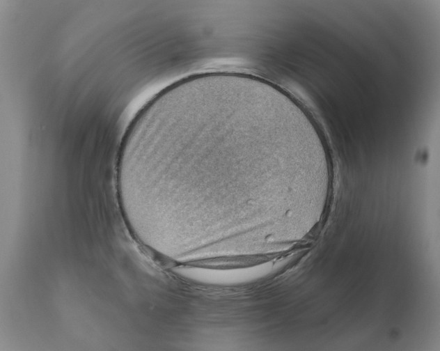 X0000110891336200907161517