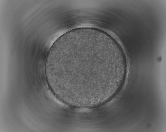 X0000110891337200907161517