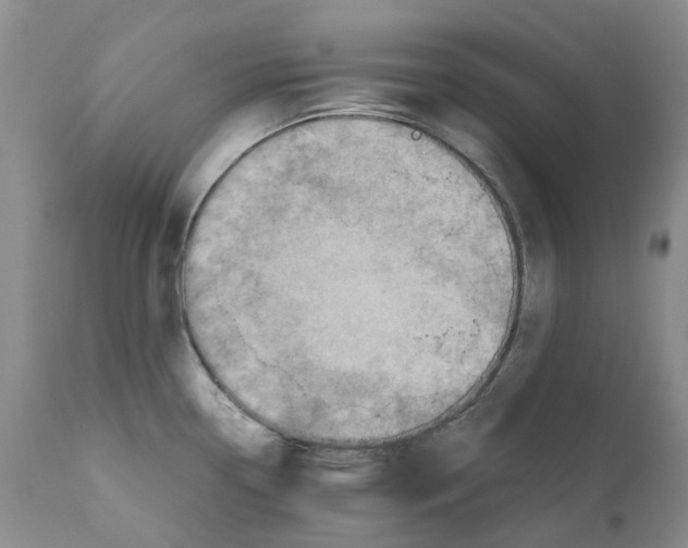 X0000110891338200907161517