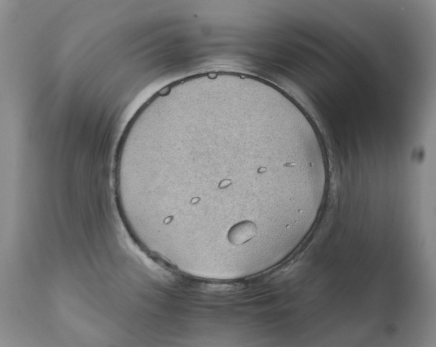 X0000110891339200907161517