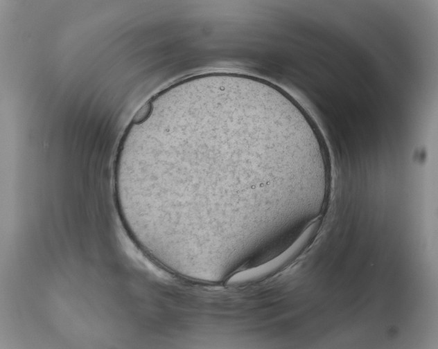 X0000110891341200907161517