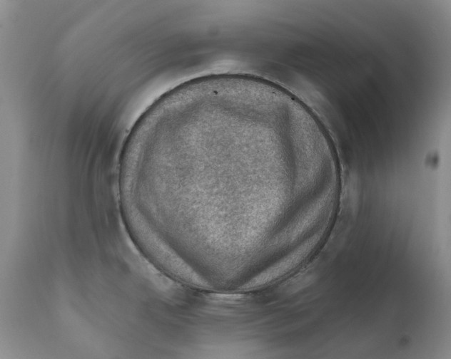 X0000110891342200907161517