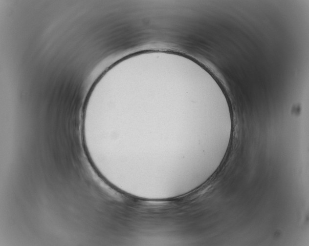 X0000110891343200907161517