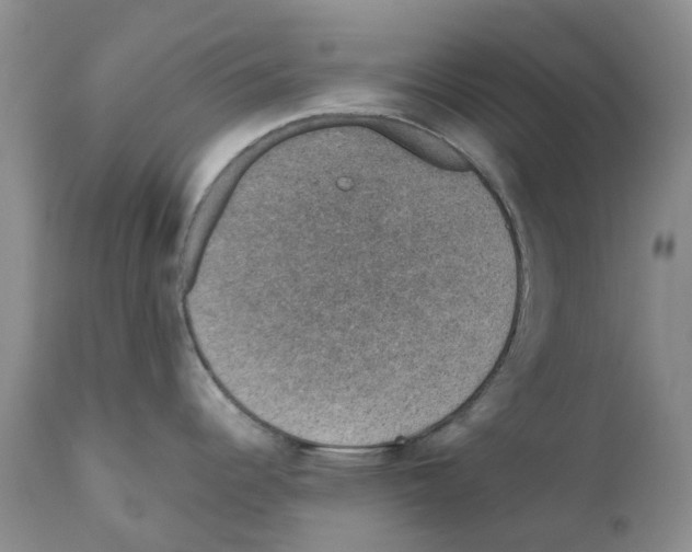 X0000110891344200907161517